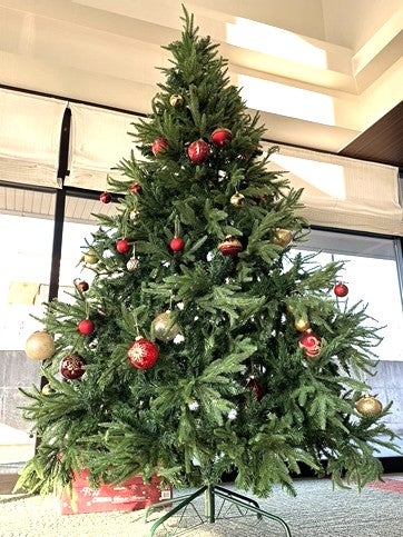 わくわく準備！！～みんなで飾りつけ～～